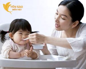 Hướng dẫn cách chế biến yến sào tốt cho trẻ em